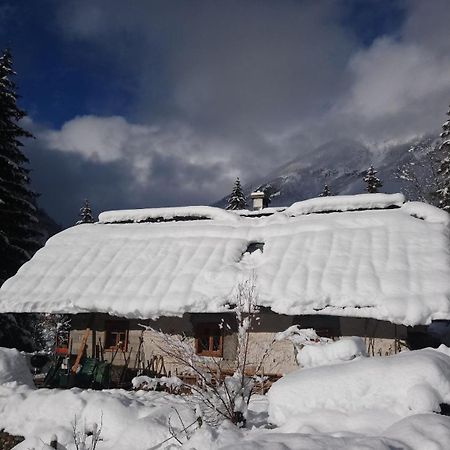 Wild Flower Cottage In Trenta Esterno foto