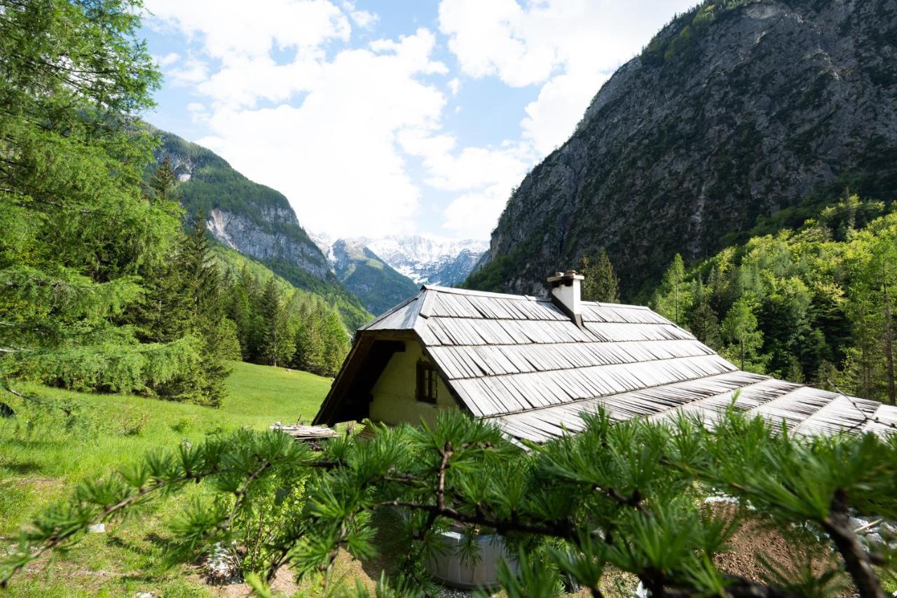 Wild Flower Cottage In Trenta Esterno foto