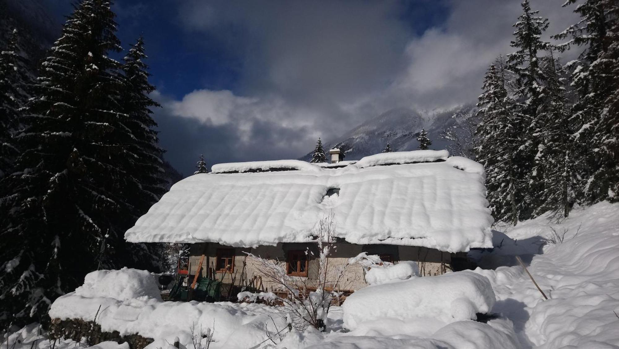 Wild Flower Cottage In Trenta Esterno foto